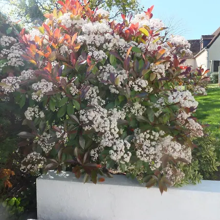 Couette-café Accueil Lafaye21