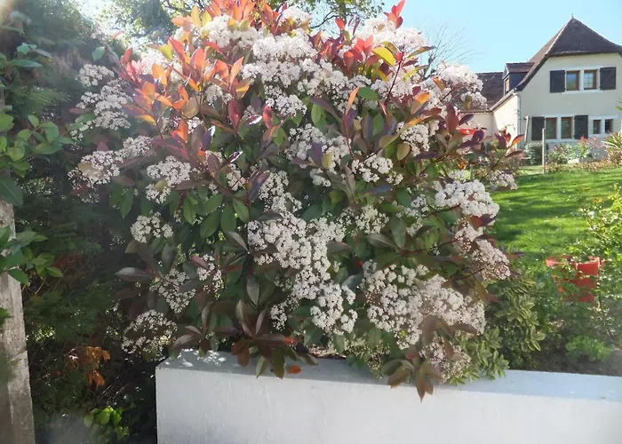 Bed & Breakfast Accueil Lafaye21