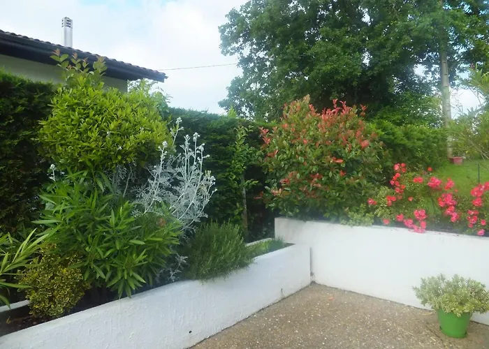 Accueil Lafaye21 Orthez